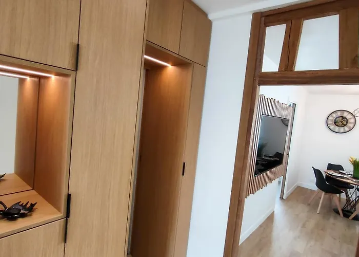 Apartment Le Moulin Dort Hyper Centre Gare *